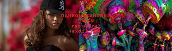 прущие грибы Армянск