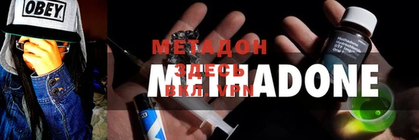 прущие грибы Армянск