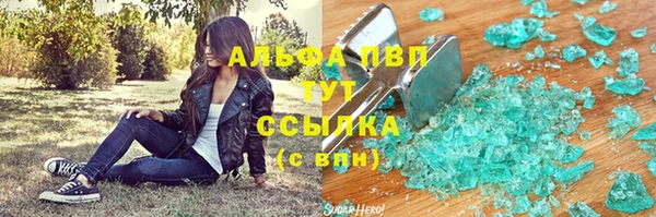 твердый Аркадак