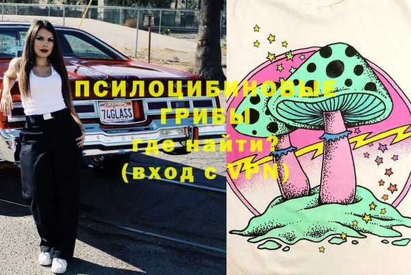 эйфоретик Арсеньев