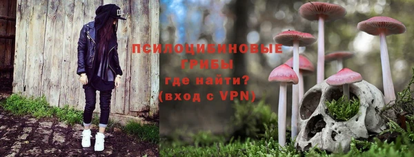 твердый Аркадак