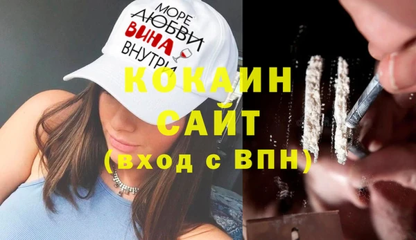 прущие грибы Армянск