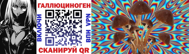 Псилоцибиновые грибы Magic Shrooms  дарнет шоп  darknet телеграм  Терек 